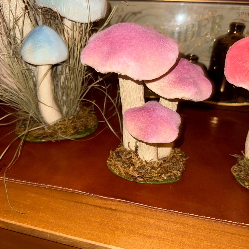 Anthropologie Terrain Purple Velvety Hollow mushroom